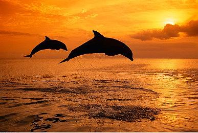 《真三国无双：起源》武器介绍：护手、剑、枪、飞圈、朴刀