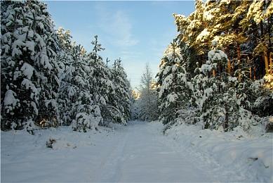 《巫师3》次世代版高清化Mod第一版提供下载